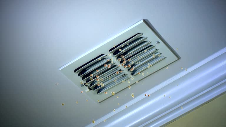 Best Air Vent Cleaning Services  in Leon Valley, TX