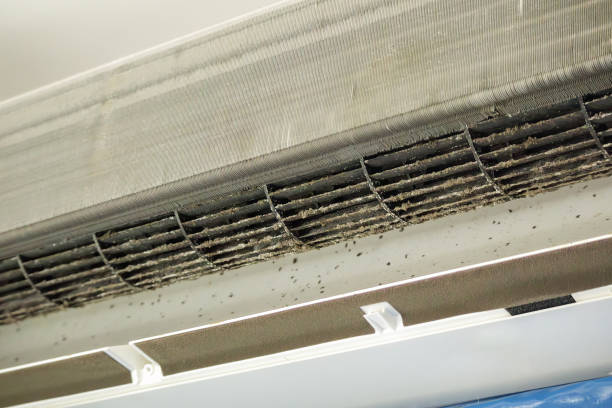 Best Affordable Duct Cleaning Services  in Leon Valley, TX